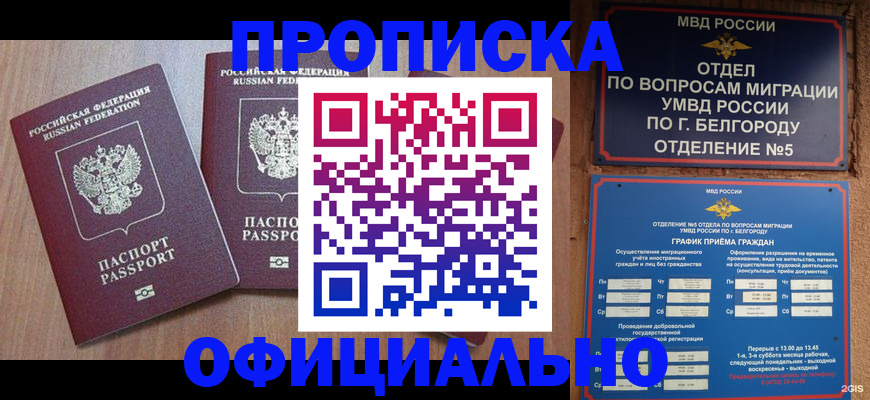 найти адрес прописки в Лыткарино