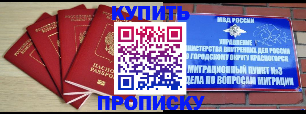 временная регистрация для всех в Лыткарино